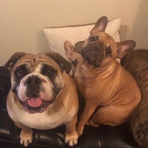 Meet your Posher, Taylor